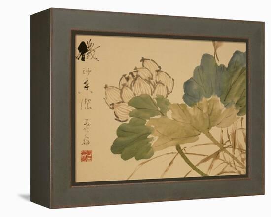 Lotus-Xu Gu-Framed Premier Image Canvas