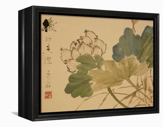 Lotus-Xu Gu-Framed Premier Image Canvas