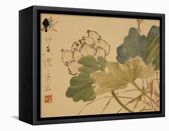 Lotus-Xu Gu-Framed Premier Image Canvas