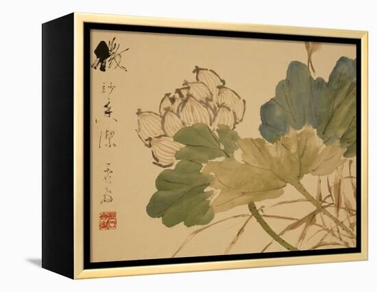 Lotus-Xu Gu-Framed Premier Image Canvas