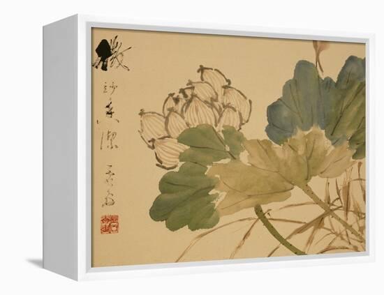 Lotus-Xu Gu-Framed Premier Image Canvas