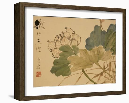 Lotus-Xu Gu-Framed Giclee Print