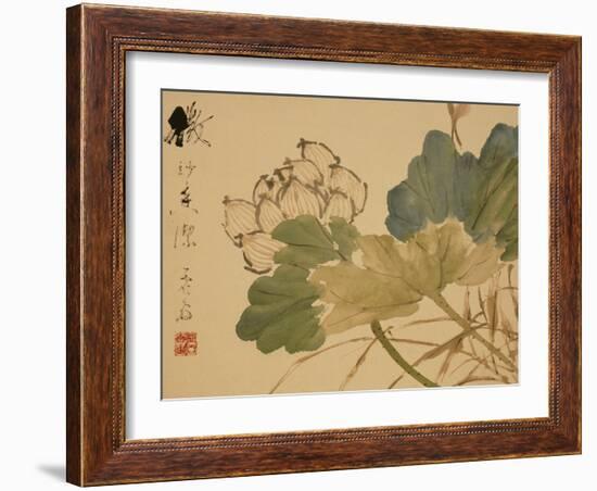 Lotus-Xu Gu-Framed Giclee Print