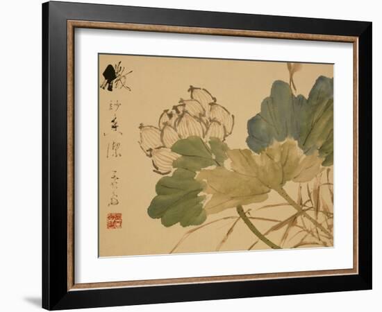 Lotus-Xu Gu-Framed Giclee Print