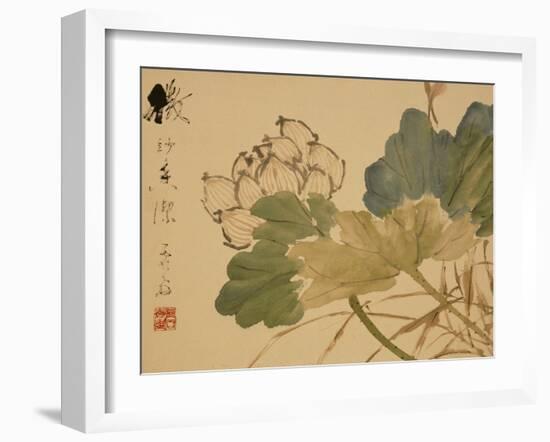 Lotus-Xu Gu-Framed Giclee Print