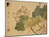 Lotus-Xu Gu-Mounted Giclee Print