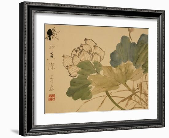 Lotus-Xu Gu-Framed Giclee Print