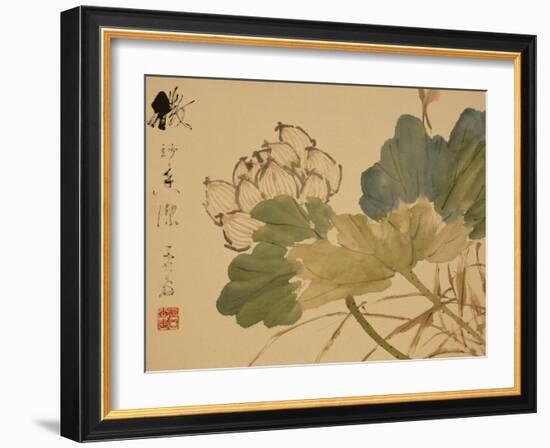 Lotus-Xu Gu-Framed Giclee Print