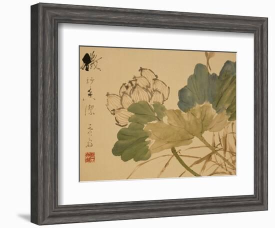 Lotus-Xu Gu-Framed Giclee Print