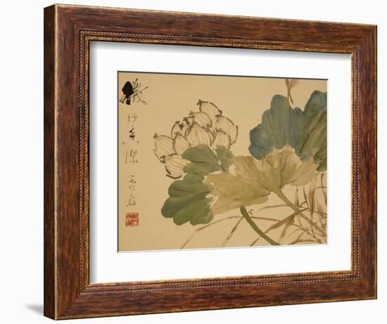 Lotus-Xu Gu-Framed Giclee Print