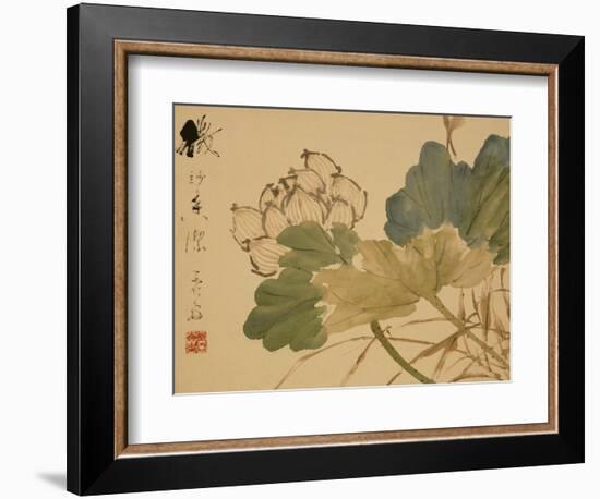 Lotus-Xu Gu-Framed Giclee Print