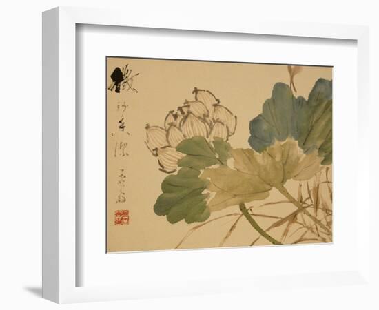 Lotus-Xu Gu-Framed Giclee Print