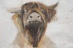 Long Horn Sheep-Lou Gibbs-Giclee Print