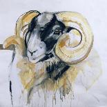 Long Horn Sheep-Lou Gibbs-Framed Giclee Print