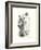 Lou Groza-Allen Friedlander-Framed Premium Giclee Print