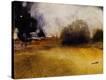 Stretched Canvas Print