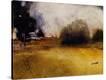 Stretched Canvas Print
