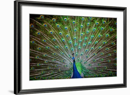 Loud and Proud II-Doug Nelson-Framed Premium Giclee Print