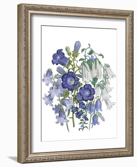 Loudon Florals I-Jane W. Loudon-Framed Art Print