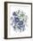 Loudon Florals I-Jane W. Loudon-Framed Art Print