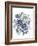 Loudon Florals I-Jane W. Loudon-Framed Art Print