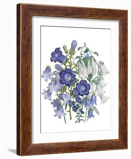 Loudon Florals I-Jane W. Loudon-Framed Art Print