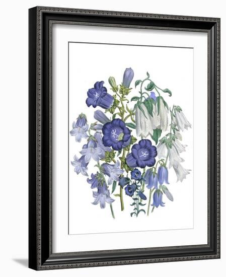 Loudon Florals I-Jane W. Loudon-Framed Art Print