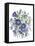 Loudon Florals I-Jane W. Loudon-Framed Stretched Canvas