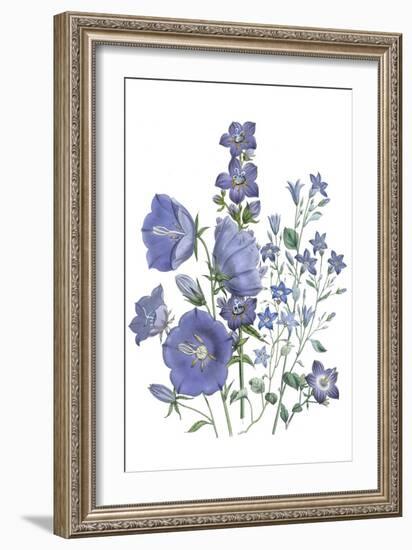 Loudon Florals II-Jane W. Loudon-Framed Art Print