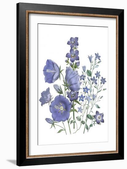 Loudon Florals II-Jane W. Loudon-Framed Art Print