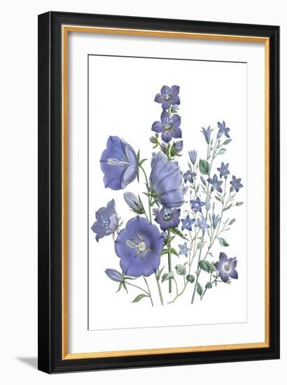 Loudon Florals II-Jane W. Loudon-Framed Art Print