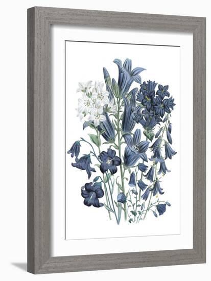 Loudon Florals III-Jane W. Loudon-Framed Premium Giclee Print