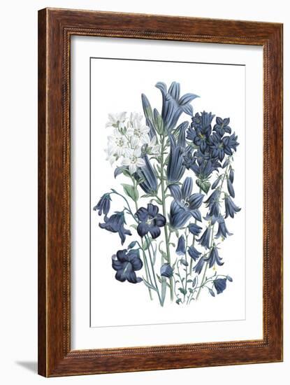 Loudon Florals III-Jane W. Loudon-Framed Premium Giclee Print