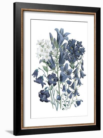 Loudon Florals III-Jane W. Loudon-Framed Premium Giclee Print