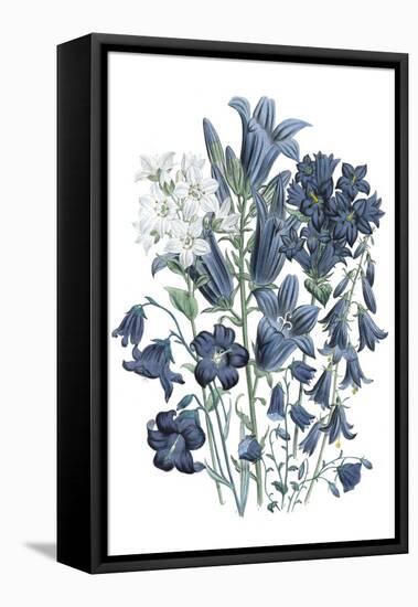 Loudon Florals III-Jane W. Loudon-Framed Stretched Canvas