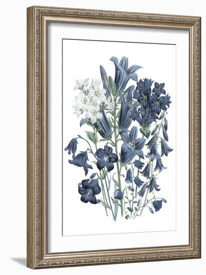 Loudon Florals III-Jane W. Loudon-Framed Art Print