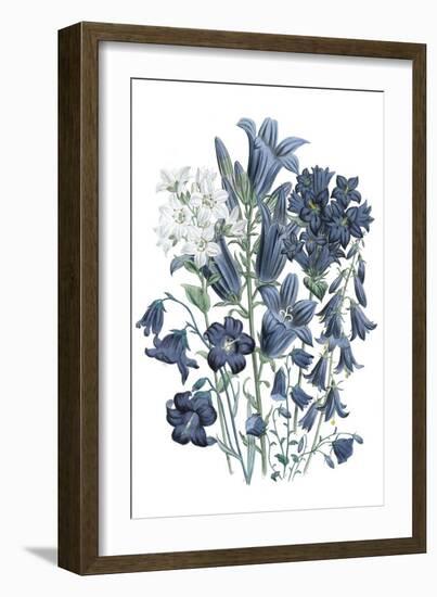 Loudon Florals III-Jane W. Loudon-Framed Art Print