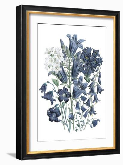 Loudon Florals III-Jane W. Loudon-Framed Art Print