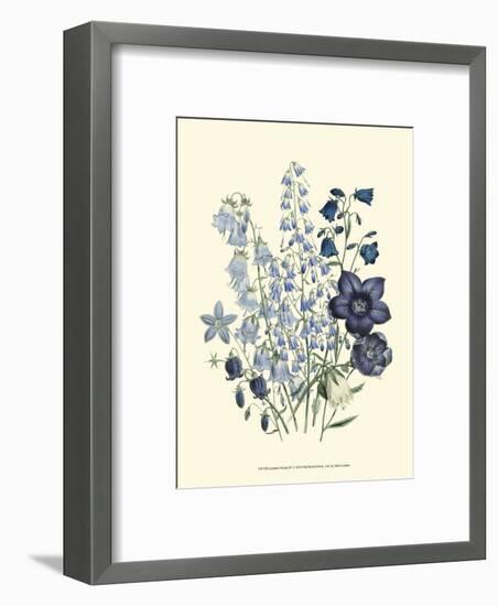 Loudon Florals IV-Jane W^ Loudon-Framed Art Print