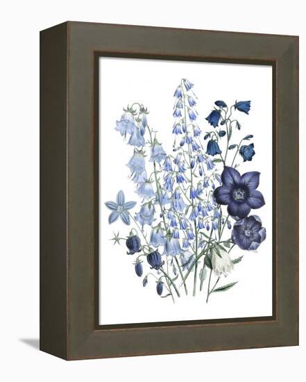 Loudon Florals IV-Jane W. Loudon-Framed Stretched Canvas