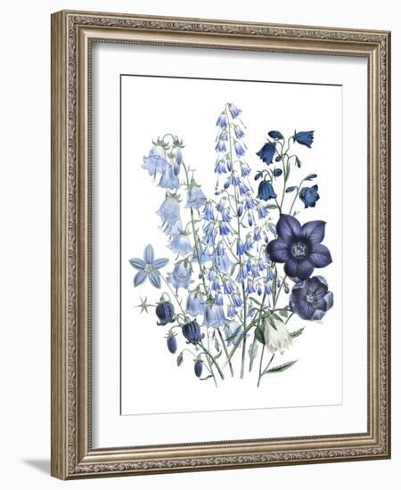 Loudon Florals IV-Jane W. Loudon-Framed Art Print