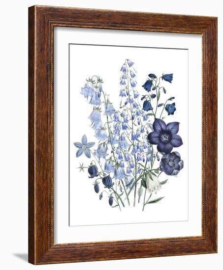 Loudon Florals IV-Jane W. Loudon-Framed Art Print