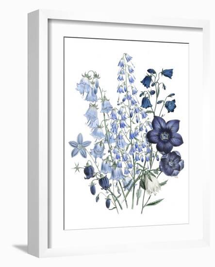 Loudon Florals IV-Jane W. Loudon-Framed Art Print