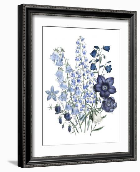 Loudon Florals IV-Jane W. Loudon-Framed Art Print