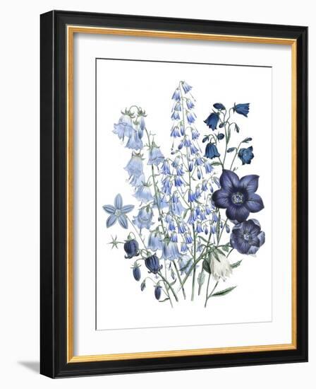 Loudon Florals IV-Jane W. Loudon-Framed Art Print