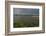 Loughrea, County Galway, Connacht, Republic of Ireland, Europe-Carsten Krieger-Framed Photographic Print