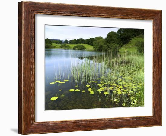 Loughrigg Tarn, Lake District National Park, Cumbria, England, United Kingdom, Europe-Jeremy Lightfoot-Framed Photographic Print