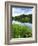 Loughrigg Tarn, Lake District National Park, Cumbria, England, United Kingdom, Europe-Jeremy Lightfoot-Framed Photographic Print