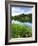 Loughrigg Tarn, Lake District National Park, Cumbria, England, United Kingdom, Europe-Jeremy Lightfoot-Framed Photographic Print