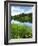 Loughrigg Tarn, Lake District National Park, Cumbria, England, United Kingdom, Europe-Jeremy Lightfoot-Framed Photographic Print